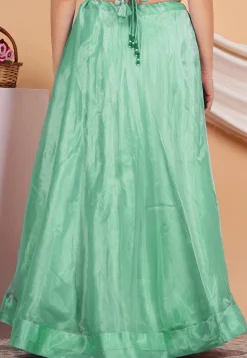 Solid Color Organza Skirt in Pastel Green