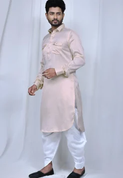 Solid Color Satin Paithani Suit in Light Beige