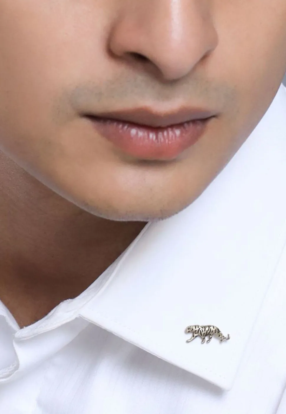 The Calm Chetaah and Imperial Stag Metallic Collar Tips Gift Set