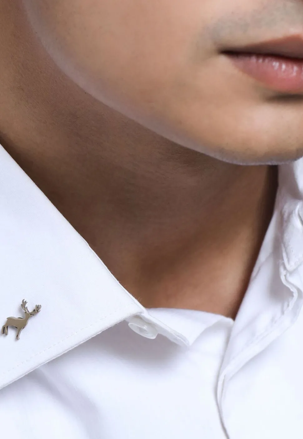 The Daring Deer and Flying Bird Metallic Collar Tips Gift Set