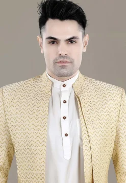 Woven Art Silk Jacquard Jodhpuri Jacket in Light Beige