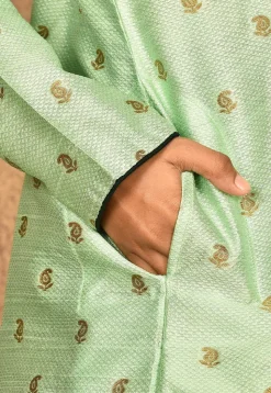 Woven Art Silk Jacquard Kurta in Pastel Green