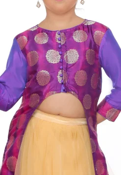 Woven Banarasi Silk Lehenga in Purple Dual Tone